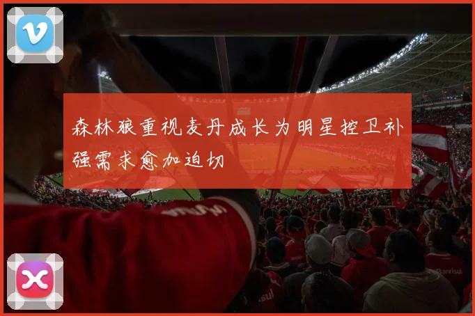 森林狼重视麦丹成长为明星控卫补强需求愈加迫切